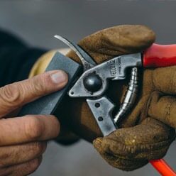 Gloved hands sharpening garden pruners with a sharpening stone.